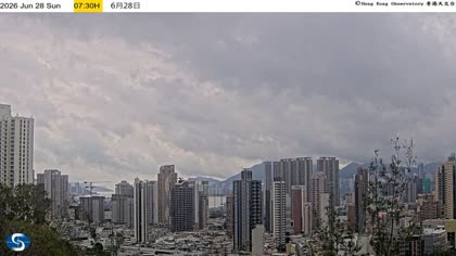 2026-06-28