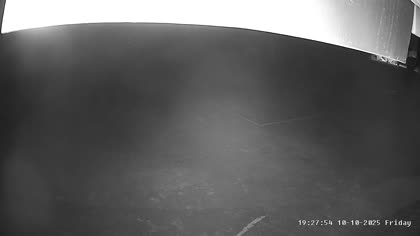 2025-10-11