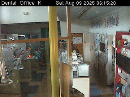 2025-08-08