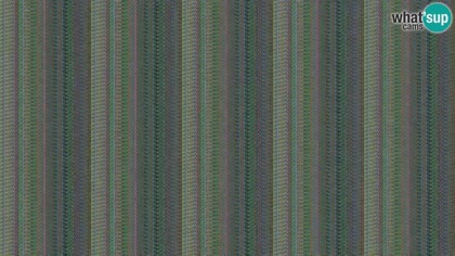 2026-05-24