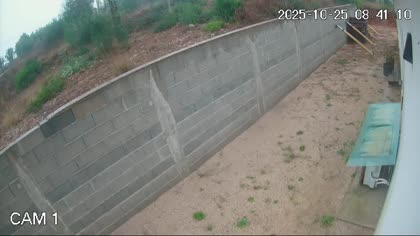 2025-10-25