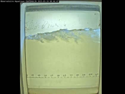 2025-05-24