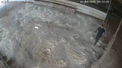 2025-06-01