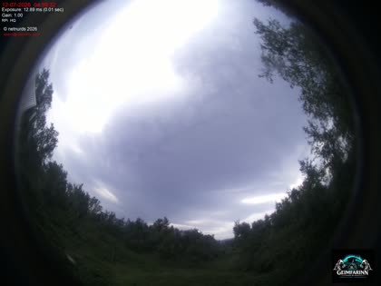 2026-07-12