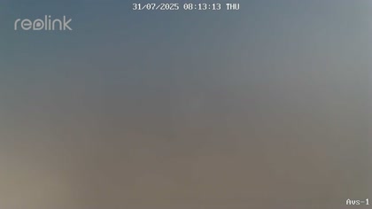 2025-07-31