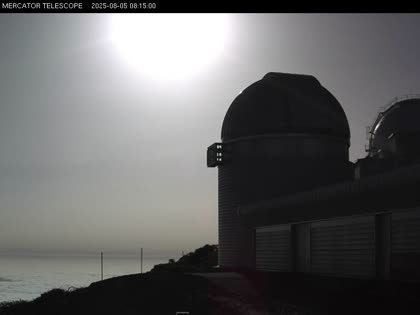 2025-08-05