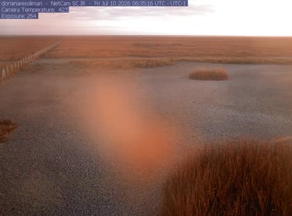 2026-07-10