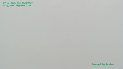 2025-07-22