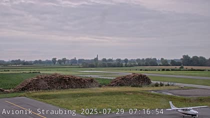 2025-07-29