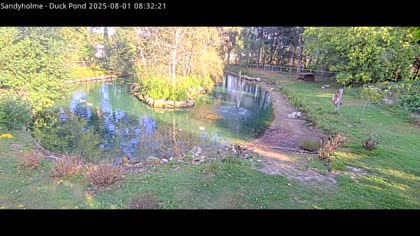 2025-08-01