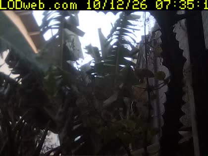 2026-10-12