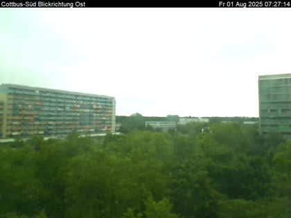 2025-08-01