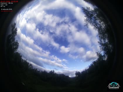 2026-07-05