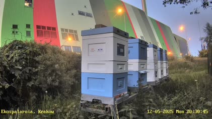 2025-05-12