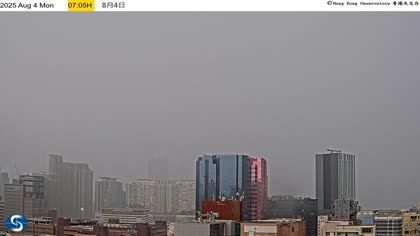 2025-08-04