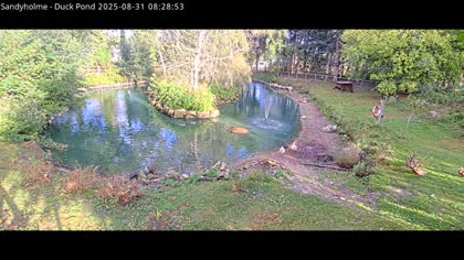 2025-08-31