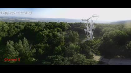 2025-08-15