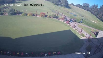2025-07-08