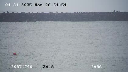 2025-04-21