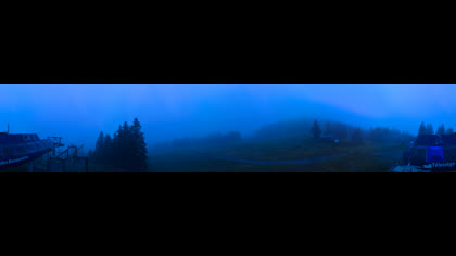 2025-07-08