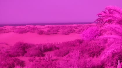 2026-08-03