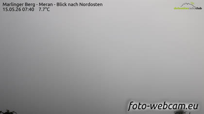 2026-05-15