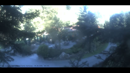 2025-08-09