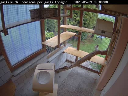 2025-05-09