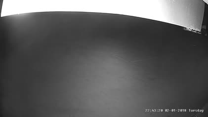 2025-04-07