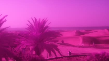 2026-07-28