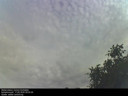 2026-08-17