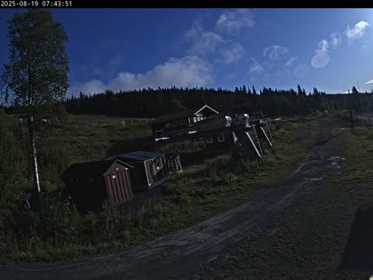 2025-08-19