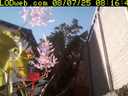 2025-08-07