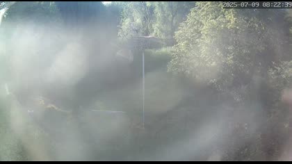 2025-07-09