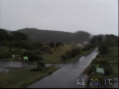 2025-08-04