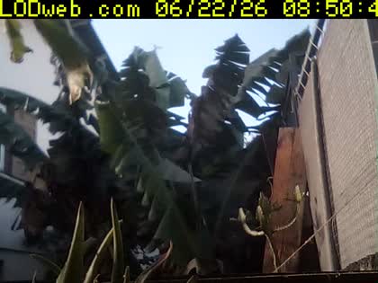 2026-06-22