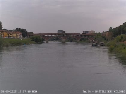 2025-09-08