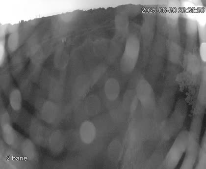 2025-07-01