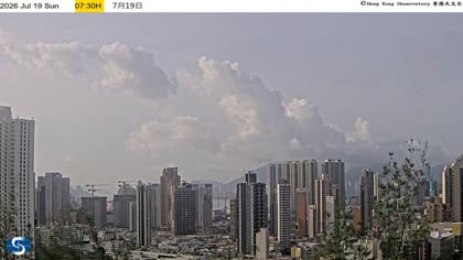 2026-07-19