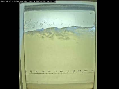2025-05-25