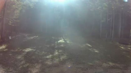 2025-10-03