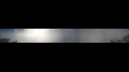 2026-06-11