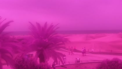 2026-09-05