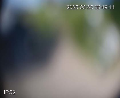2025-06-25