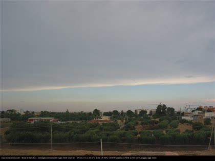2025-07-08