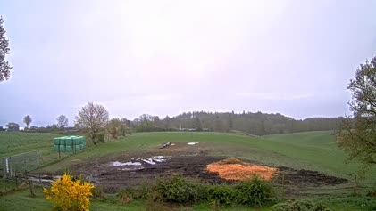 2025-04-21