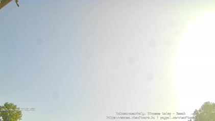 2025-06-08