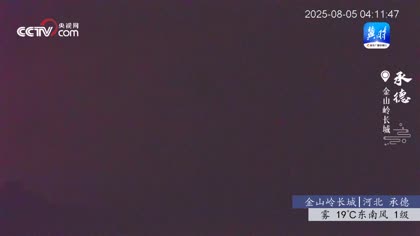 2025-08-07