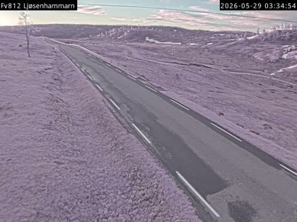 2026-05-29