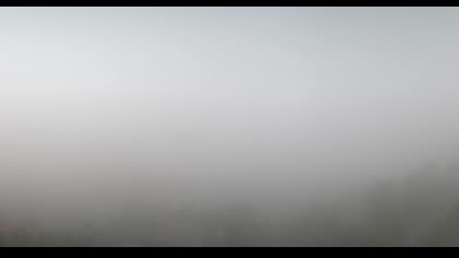 2025-09-26